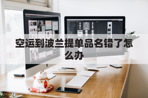 空运到波兰提单品名错了怎么办(波兰提单复印件能提货吗)