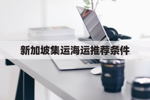 新加坡集运海运推荐条件(新加坡官方海运集运)