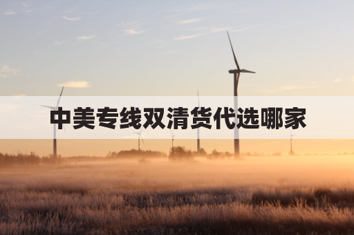 中美专线双清货代选哪家(中美专线物流价格)