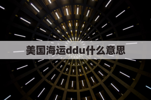 美国海运ddu什么意思(海运ddp什么意思)