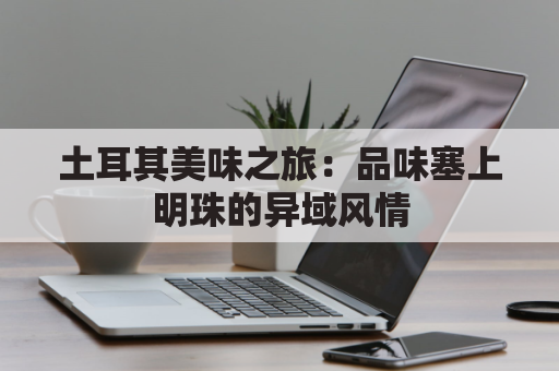 土耳其美味之旅:品味塞上明珠的异域风情