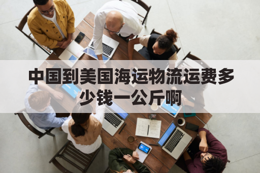 中国到美国海运物流运费多少钱一公斤啊(中国到美国的海运费多少钱)