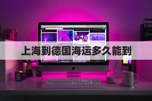 上海到德国海运多久能到(上海到德国海运多少天)