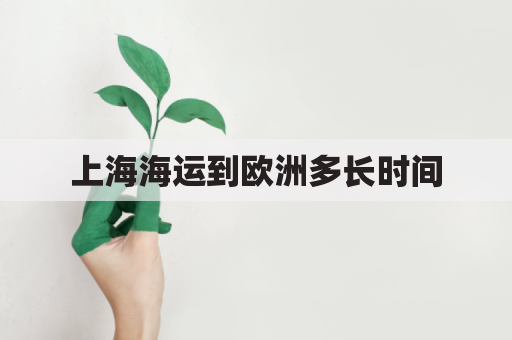 上海海运到欧洲多长时间(上海港到欧洲的主要港口路线)