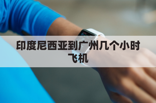 印度尼西亚到广州几个小时飞机(广州到印度尼西亚拼柜)