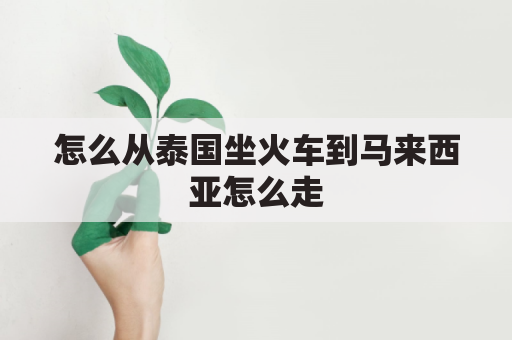 怎么从泰国坐火车到马来西亚怎么走(泰国到马来西亚有多少公里)