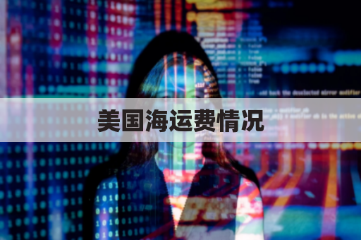 美国海运费情况(美国海运费用)
