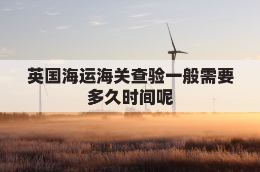 英国海运海关查验一般需要多久时间呢(英国海关会开箱检查吗)