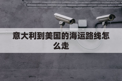 意大利到美国的海运路线怎么走(从意大利到美国多远)