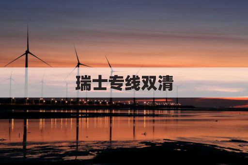 瑞士专线双清(瑞士清关难吗)