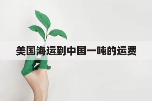 美国海运到中国一吨的运费(到美国海运多少钱一方)