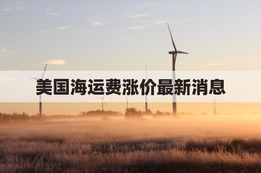 美国海运费涨价最新消息(美国海运运费运价表)