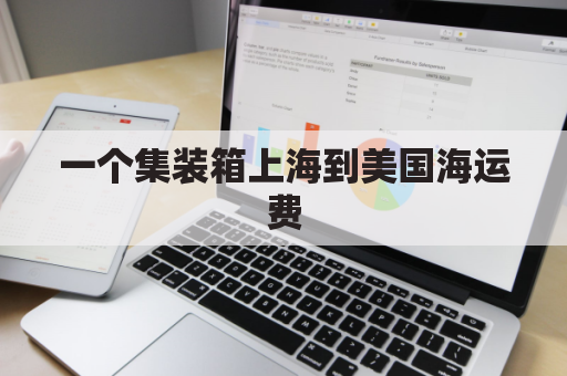 一个集装箱上海到美国海运费(上海海运到美国多少钱)