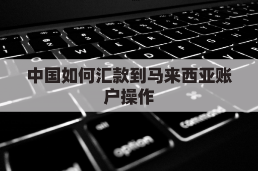 中国如何汇款到马来西亚账户操作(中国往马来西亚汇款)