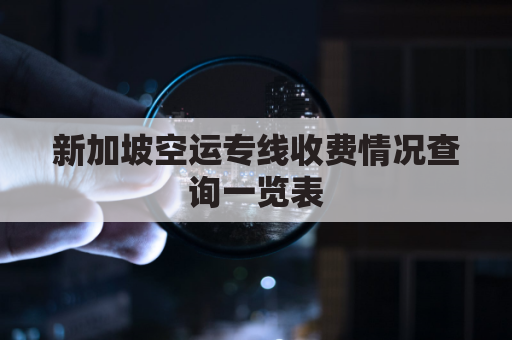 新加坡空运专线收费情况查询一览表(新加坡官方空运集运仓)
