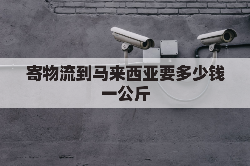 寄物流到马来西亚要多少钱一公斤(国内寄马来西亚快递)