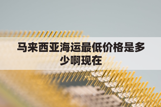 马来西亚海运最低价格是多少啊现在(马来西亚海运怎么收费)