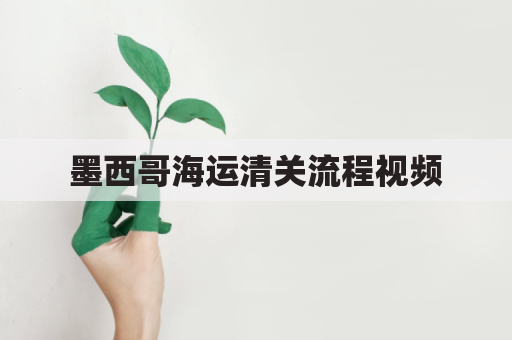 墨西哥海运清关流程视频(发货到墨西哥如何清关)