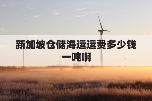 新加坡仓储海运运费多少钱一吨啊(新加坡仓储海运运费多少钱一吨啊现在)