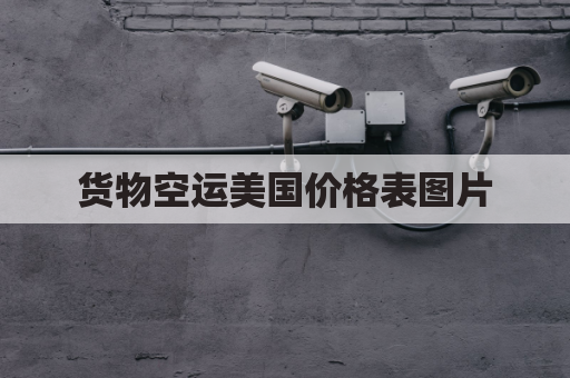 货物空运美国价格表图片(国际货运空运价格)