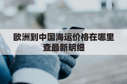 欧洲到中国海运价格在哪里查最新明细(欧洲到中国的海运费)