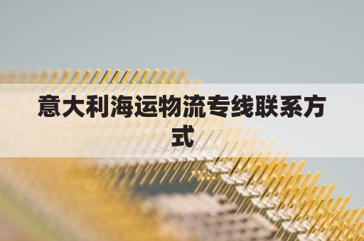 意大利海运物流专线联系方式(意大利运输公司)