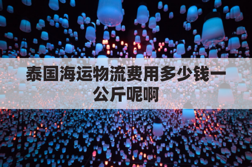 泰国海运物流费用多少钱一公斤呢啊(泰国海运物流费用多少钱一公斤呢啊视频)