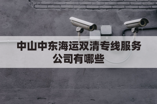 中山中东海运双清专线服务公司有哪些(中山中东海运双清专线服务公司有哪些部门)