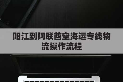 阳江到阿联酋空海运专线物流操作流程(海运到阿联酋要多久)