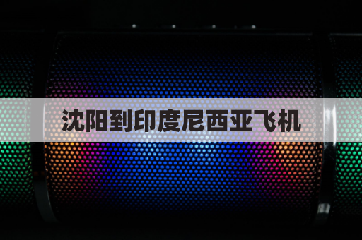沈阳到印度尼西亚飞机(沈阳到尼日利亚机票)