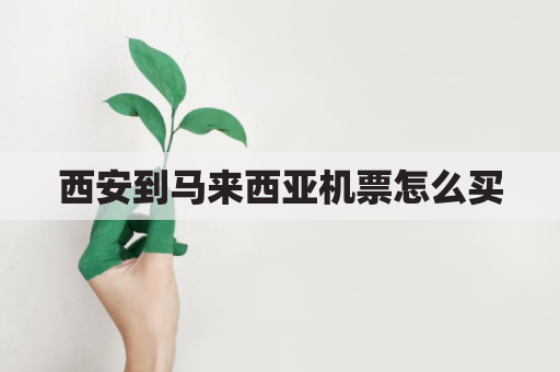 西安到马来西亚机票怎么买(西安距离马来西亚多少公里)