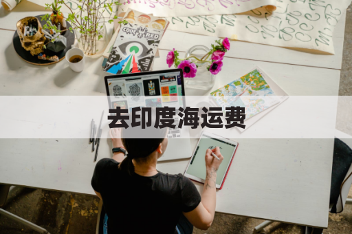 去印度海运费(到印度海运费)