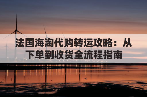 法国海淘代购转运攻略:从下单到收货全流程指南