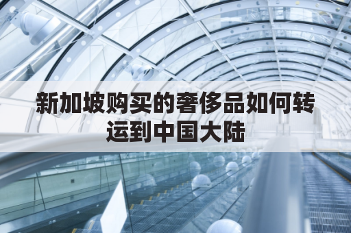 新加坡购买的奢侈品如何转运到中国大陆(新加坡买包)