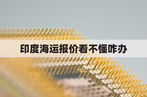 印度海运报价看不懂咋办(印度海运到中国多久)
