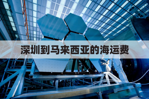 深圳到马来西亚的海运费(深圳寄到马来西亚运费多少)