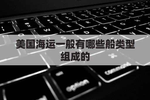 美国海运一般有哪些船类型组成的(美国海运价格一览表)