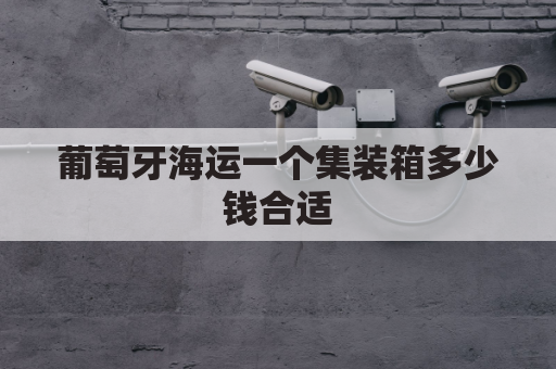 葡萄牙海运一个集装箱多少钱合适(葡萄牙海运一个集装箱多少钱合适呢)