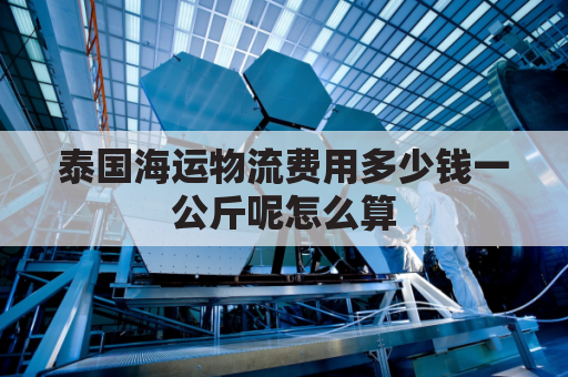 泰国海运物流费用多少钱一公斤呢怎么算(泰国海运多长时间到中国)