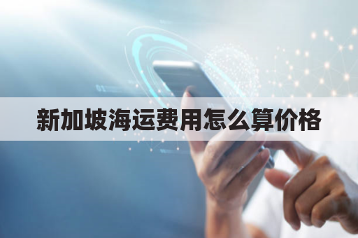 新加坡海运费用怎么算价格(新加坡海运小包)