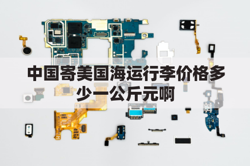 中国寄美国海运行李价格多少一公斤元啊(中国寄美国海运费用)