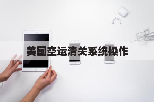 美国空运清关系统操作(美国物流清关)