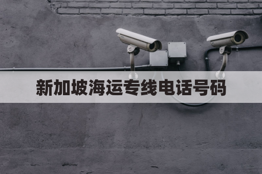 新加坡海运专线电话号码(新加坡海运单号查询)