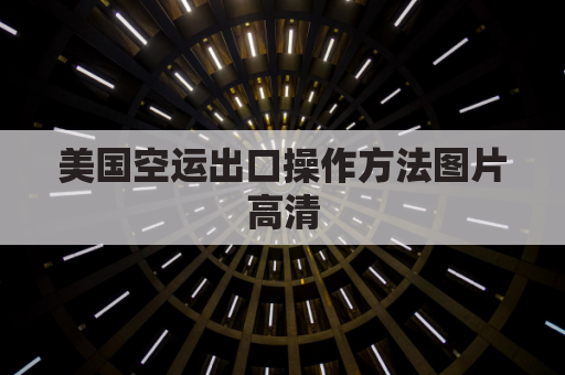 美国空运出口操作方法图片高清(美国空运物流)