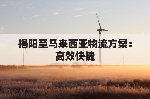 揭阳至马来西亚物流方案:高效快捷,轻松发货