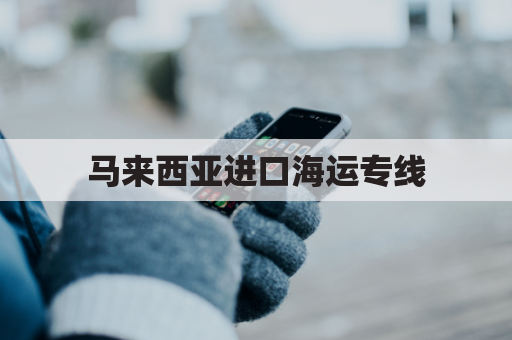 马来西亚进口海运专线(马来西亚货运专线)