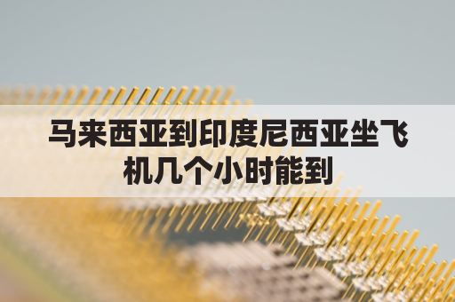 马来西亚到印度尼西亚坐飞机几个小时能到(马来西亚到印度尼西亚坐飞机几个小时能到达)