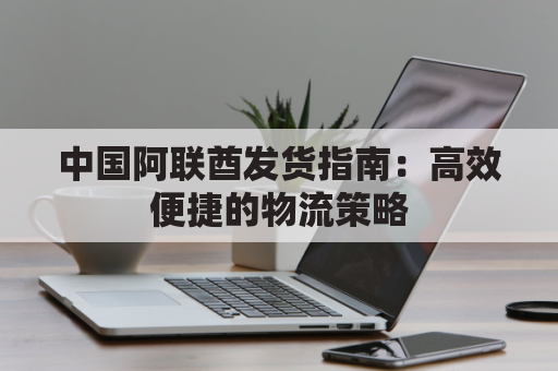 中国阿联酋发货指南：高效便捷的物流策略
