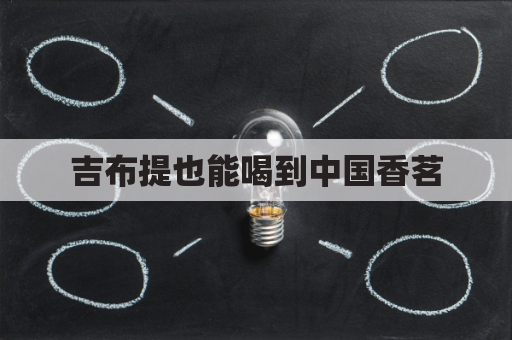 吉布提也能喝到中国香茗