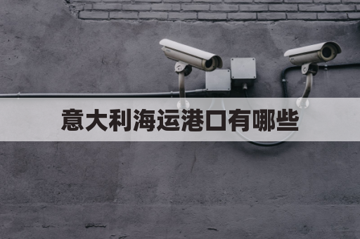 意大利海运港口有哪些(意大利海运公司)